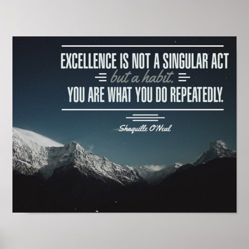 Excellence Is A Habit Poster