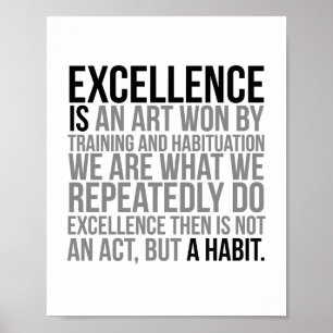 Excellence Is An Art Won By Training Poster