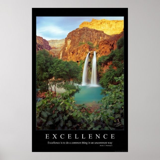 Excellence Poster (Front)