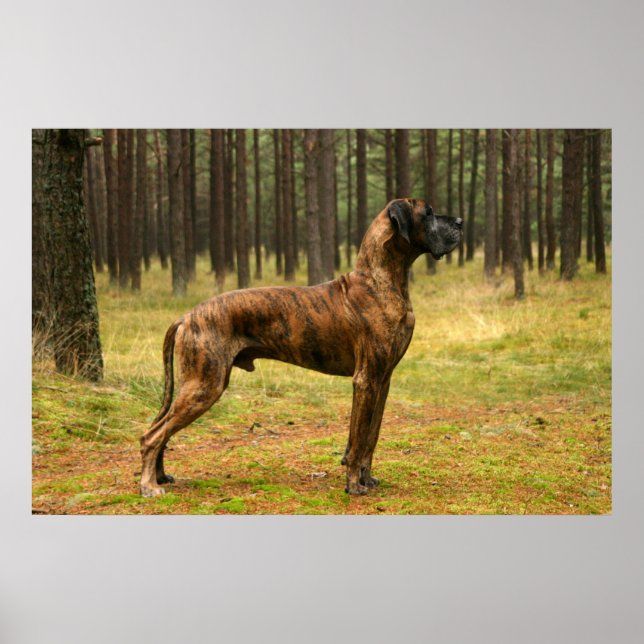 Excellence Poster (Front)