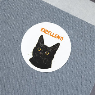 Excellent cute vintage cat teacher encouragement classic round sticker