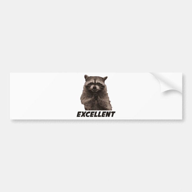 Excellent Evil Plotting Raccoon Bumper Sticker (Front)