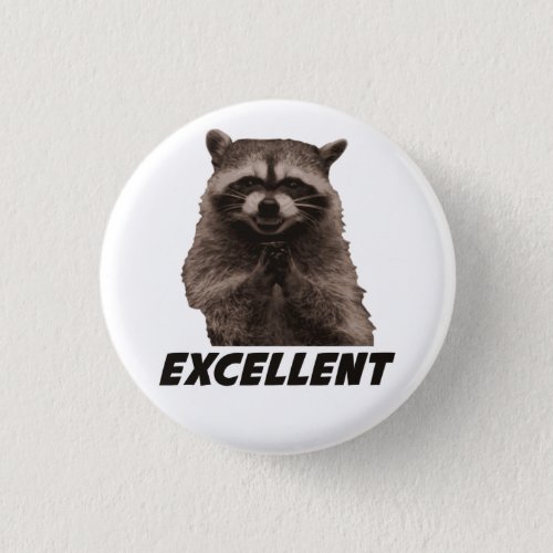 Excellent Evil Plotting Raccoon Button