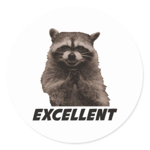 Excellent Evil Plotting Raccoon Classic Round Sticker