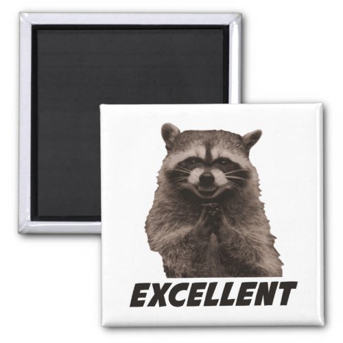 Excellent Evil Plotting Raccoon Magnet