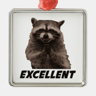 Excellent Evil Plotting Raccoon Metal Ornament