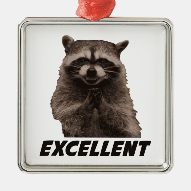 Excellent Evil Plotting Raccoon Metal Ornament (Front)