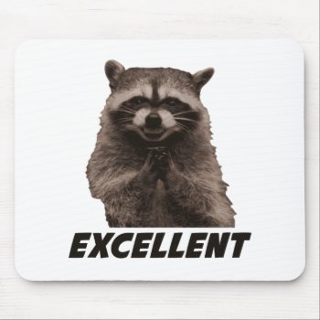 Excellent Evil Plotting Raccoon Mouse Pad by The_Shirt_Yurt at Zazzle