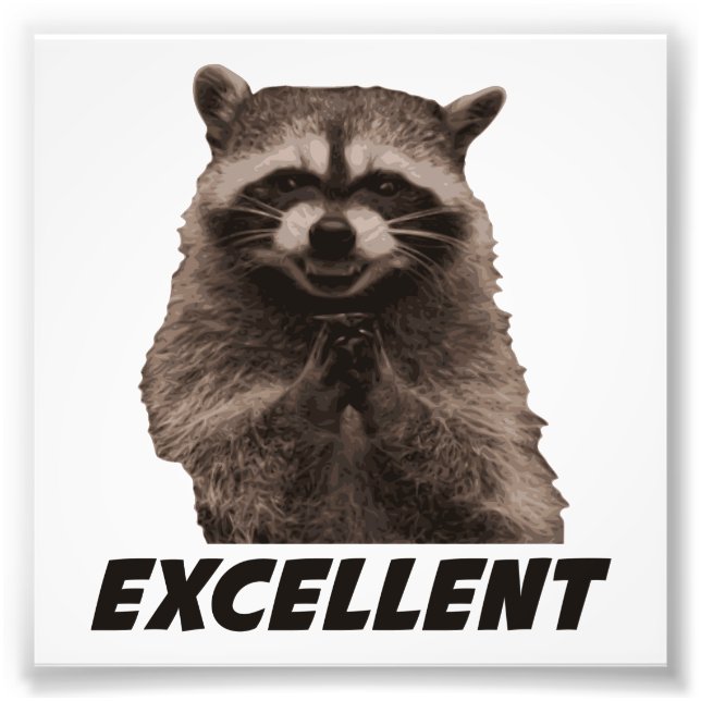 Excellent Evil Plotting Raccoon Photo Print (Front)
