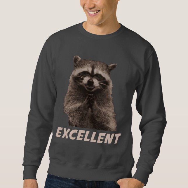 Excellent Evil Plotting Raccoon Sweatshirt (Front)