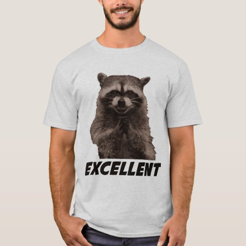 Excellent Evil Plotting Raccoon T_Shirt
