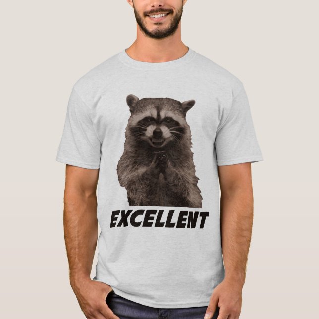 Excellent Evil Plotting Raccoon T-Shirt (Front)