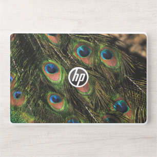 Excellent HP Laptop Skin