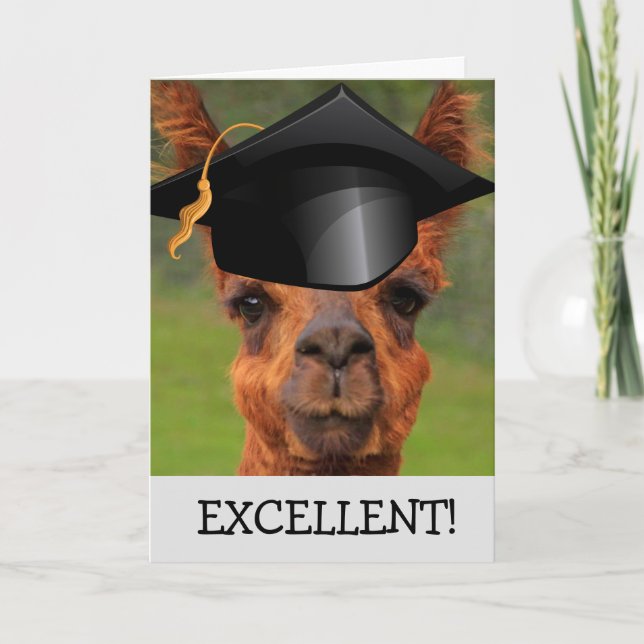 Excellent Llama Graduation Card (Front)