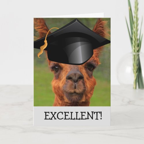 Excellent Llama Graduation Card