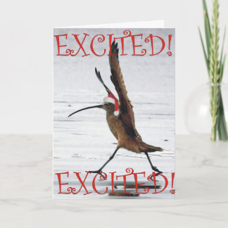 Excited Curlew Christmas Holiday Card