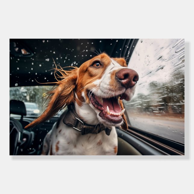 Excited Dog on Rainy Car Ride Art Print Foam Board (Front)