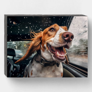 Excited Dog on Rainy Car Ride Art Print Wooden Box Sign