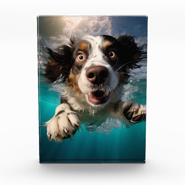 Excited Dog Swimming Underwater Design Photo Block (Front)