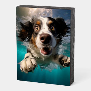 Excited Dog Swimming Underwater Design Wooden Box Sign