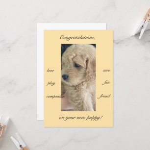 Excitement, joy & fun, new puppy, flat  card