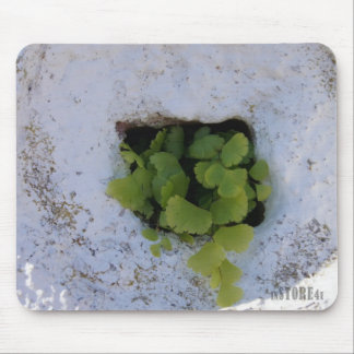 Exclusive Mousepad - Wall 044