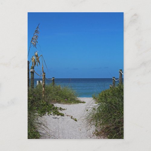 Exclusively Captiva Postcard