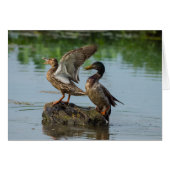 Excuse Me (Front Horizontal)