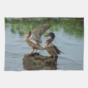 Excuse Me Kitchen Towel