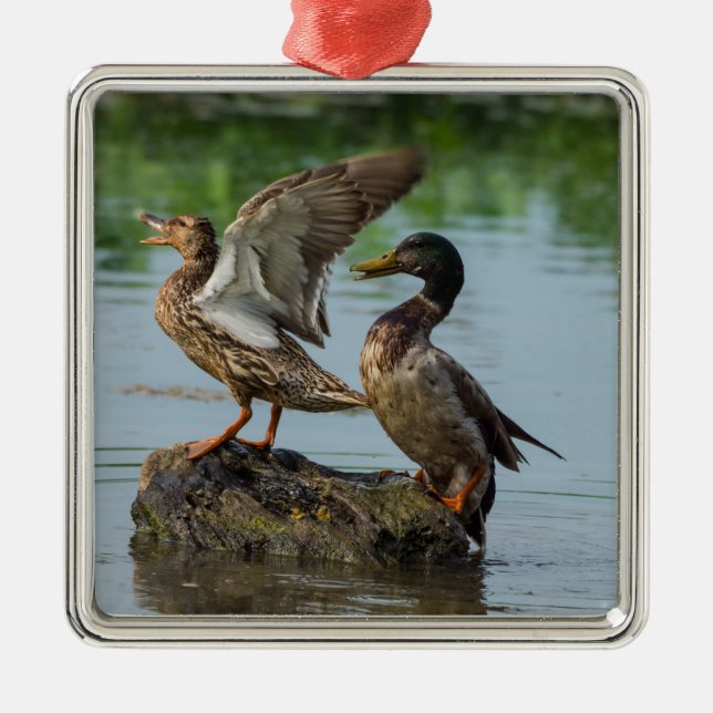 Excuse Me Metal Ornament (Front)