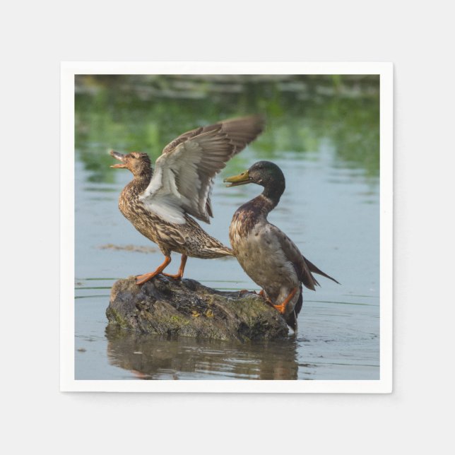 Excuse Me Napkins (Front)