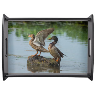 Excuse Me Serving Tray