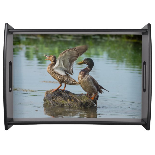 Excuse Me Serving Tray (Front)