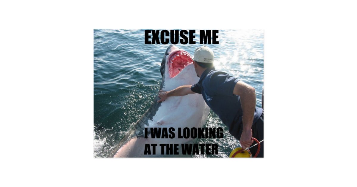 excuse me shark postcard zazzle com e cards birthday invitations