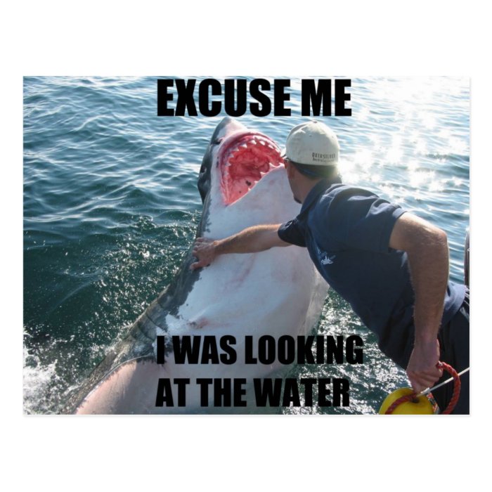 Excuse Me Shark Postcard