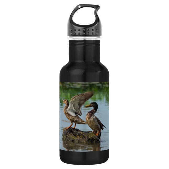 Excuse Me Stainless Steel Water Bottle (Front)