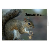 Excuse me ...The feeder is EMPTY! (Front Horizontal)