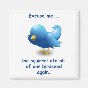 Excuse me....the squirrel ate all of our birdseed magnet