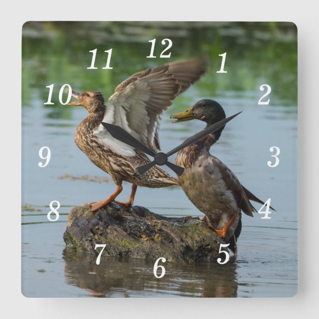 Excuse Me Wall Clock (Front)