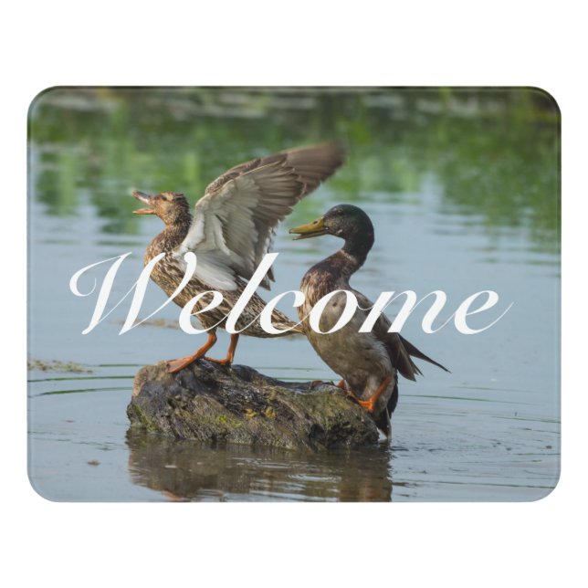 Excuse Me Welcome Door Sign (Contemporary Front)