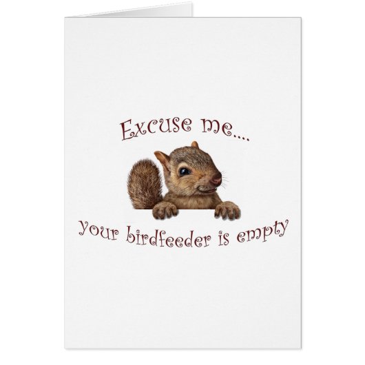 Excuse me...your birdfeeder is empty cards (Front)