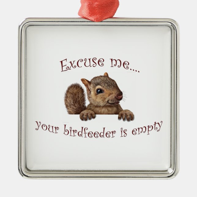 Excuse me...your birdfeeder is empty metal ornament (Front)