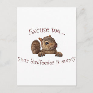 Excuse me...your birdfeeder is empty postcard