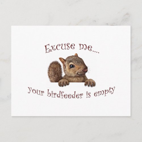 Excuse meyour birdfeeder is empty postcard