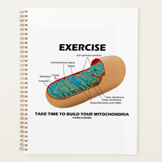Exercise Take Time To Build Your Mitochondria Planner