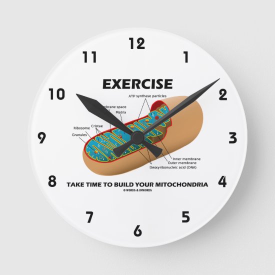 Exercise Take Time To Build Your Mitochondria Round Clock