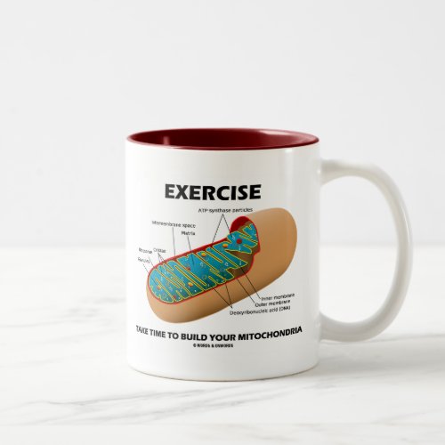 Exercise Take Time To Build Your Mitochondria Two_Tone Coffee Mug