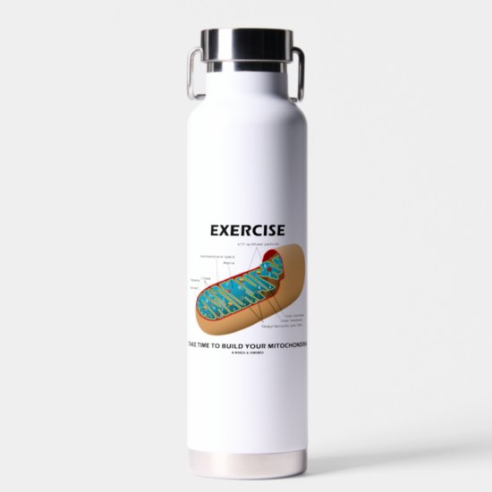 Exercise Take Time To Build Your Mitochondria Water Bottle
