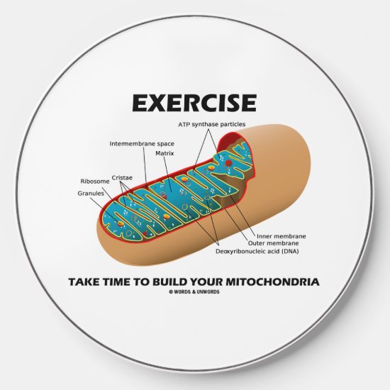 Exercise Take Time To Build Your Mitochondria Wireless Charger