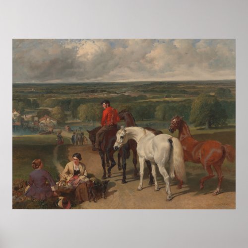 Exercising the Royal Horses Equine Art Poster